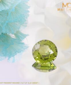 318554372 662627118890870 7294473807039588467 N