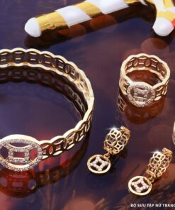 318504609 662799905540258 3210425577485609124 N