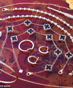 323356049 576348170604887 3241895052090371674 N